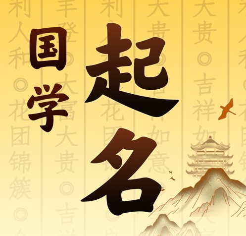 凉城国学起名 人工起名一对一